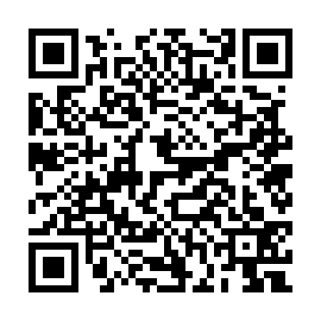 QR code for BGG5338