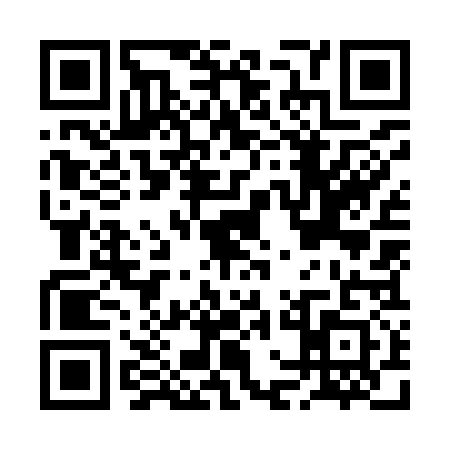 QR code for BGO9313