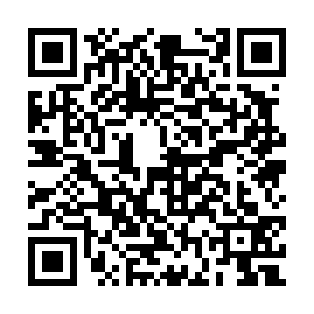 QR code for BGQ4336