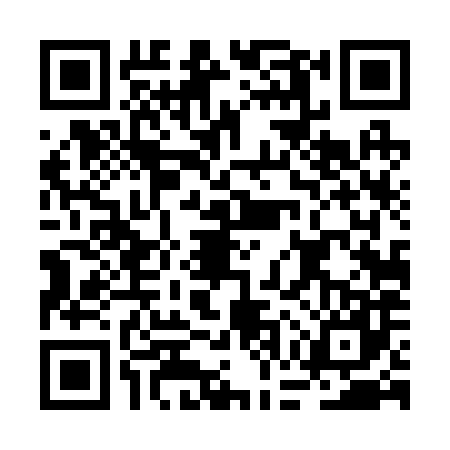 QR code for BGT2878