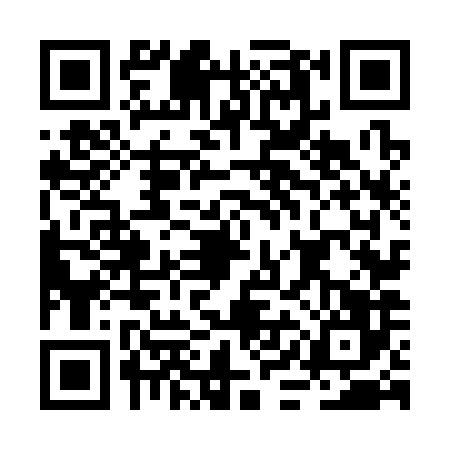 QR code for BIN3860