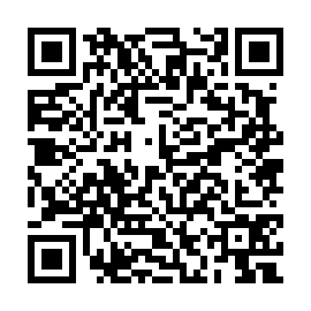 QR code for BIZ4741