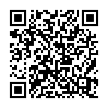 QR code for BL91FV