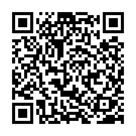 QR code for BL95YY
