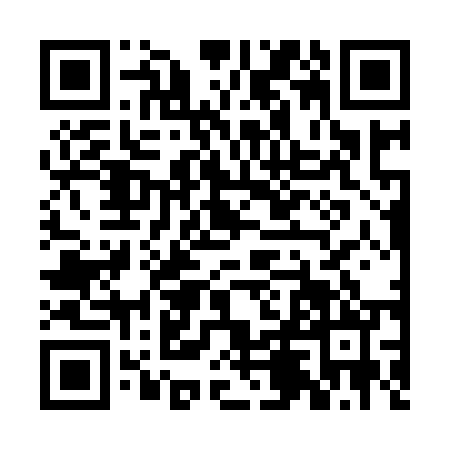 QR code for BLG9503