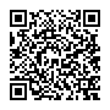 QR code for BLR0314