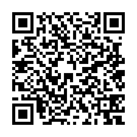 QR code for BLW0384