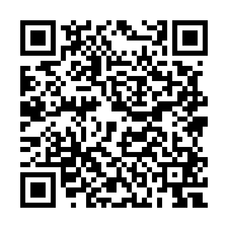 QR code for BOI5413