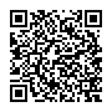 QR code for BOR6593