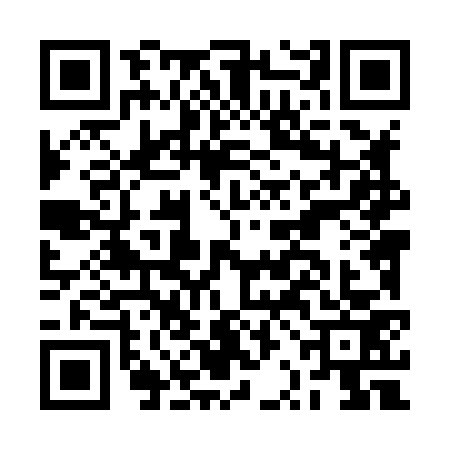QR code for BRL8738