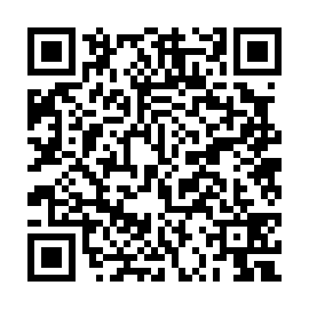 QR code for BRR0393