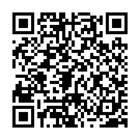 QR code for BSV2918