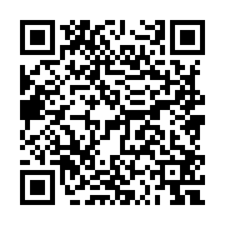 QR code for BSX9029