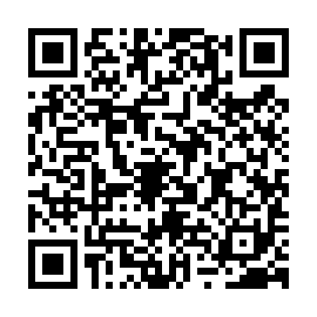 QR code for BTI4919