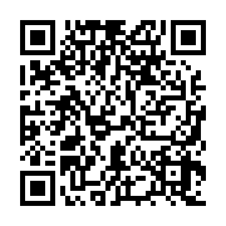 QR code for BUA0383