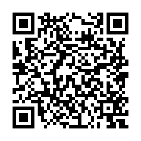 QR code for BVX9573