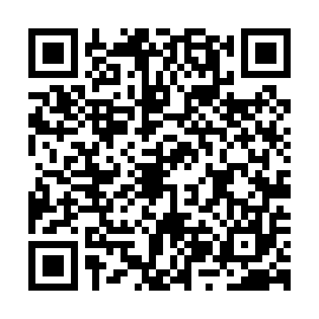QR code for BZL0579