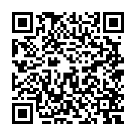 QR code for CAA0463