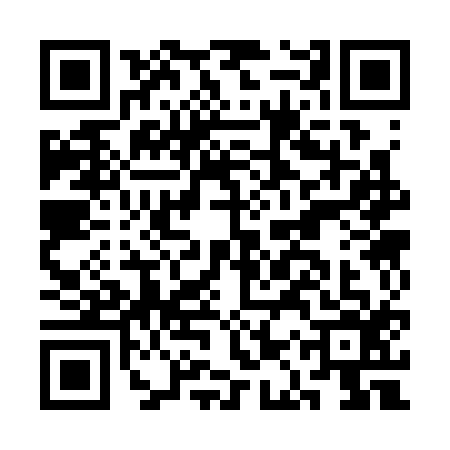 QR code for CAS3161
