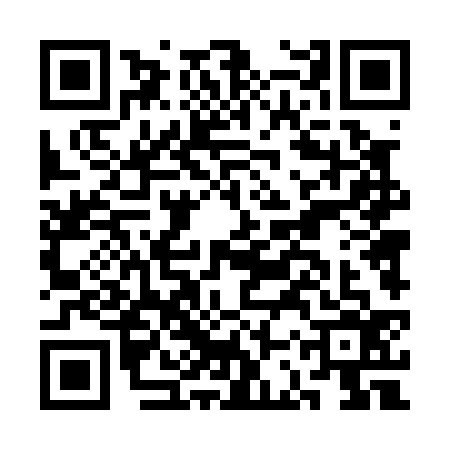 QR code for CCT0369