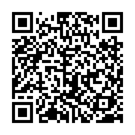 QR code for CD13BI