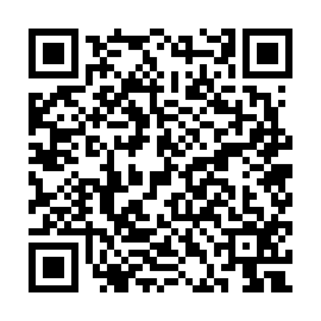 QR code for CDG6161