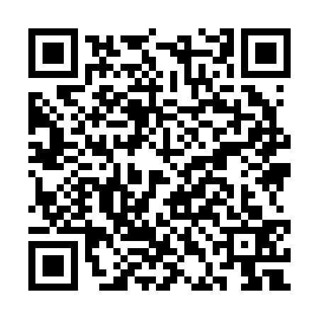 QR code for CDI2333