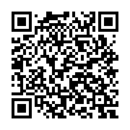 QR code for CE13WG