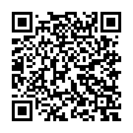 QR code for CE95LS