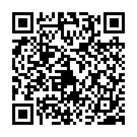 QR code for CEG2739