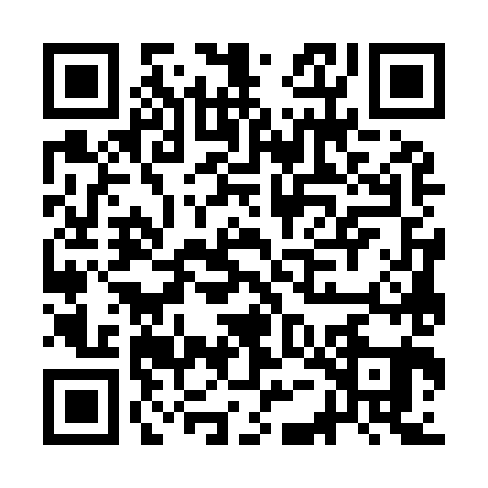 QR code for CEG9810