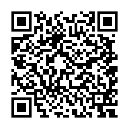 QR code for CGG4929