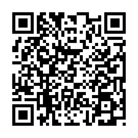 QR code for CHI0547