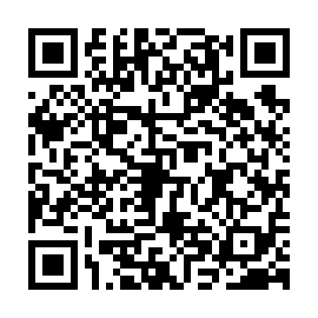 QR code for CHI6196