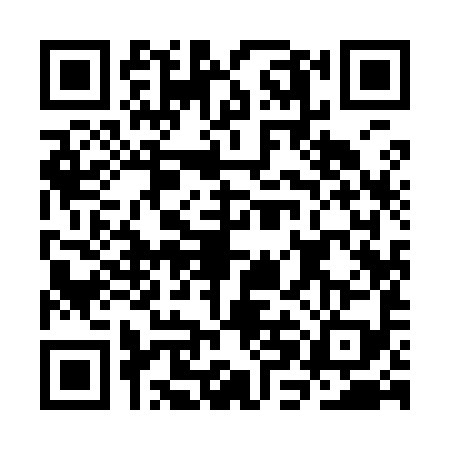 QR code for CHI9996