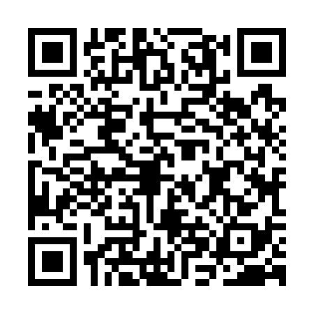 QR code for CHJ7384