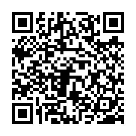QR code for CHM6699