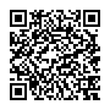 QR code for CHU0382