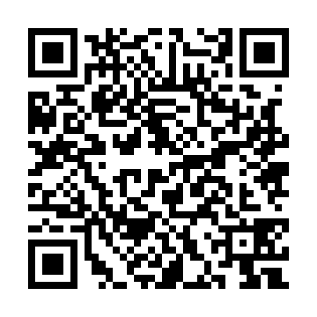 QR code for CHZ1384