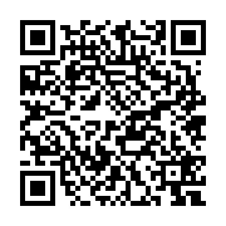 QR code for CHZ6294