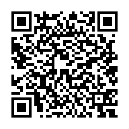 QR code for CIG1313