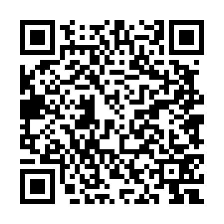 QR code for CIT4739