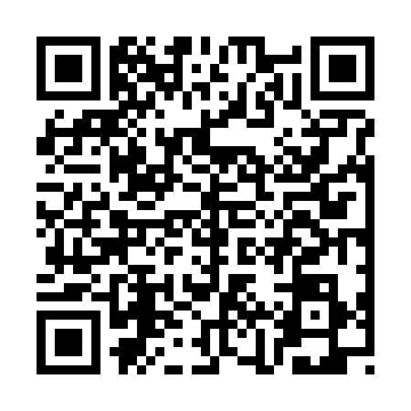 QR code for CJV6384