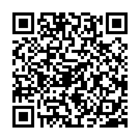 QR code for CKP1393