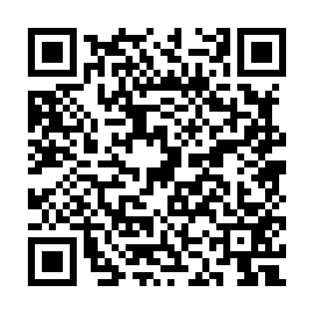 QR code for CKP8533