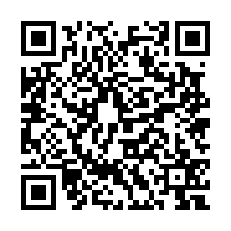 QR code for CLU0377