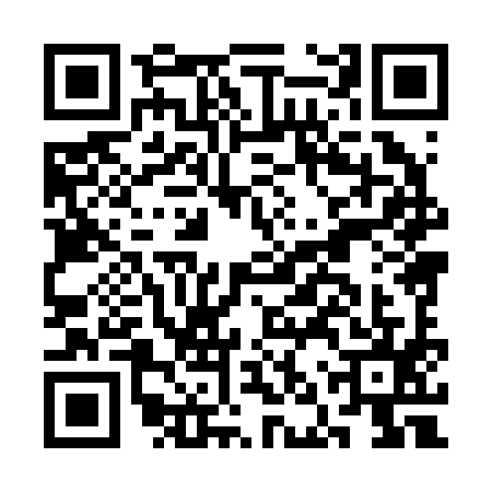 QR code for CNX2953
