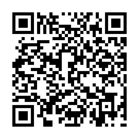 QR code for CP13OK