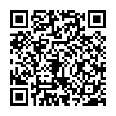 QR code for CPX0313