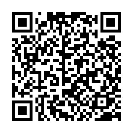 QR code for CS95IP